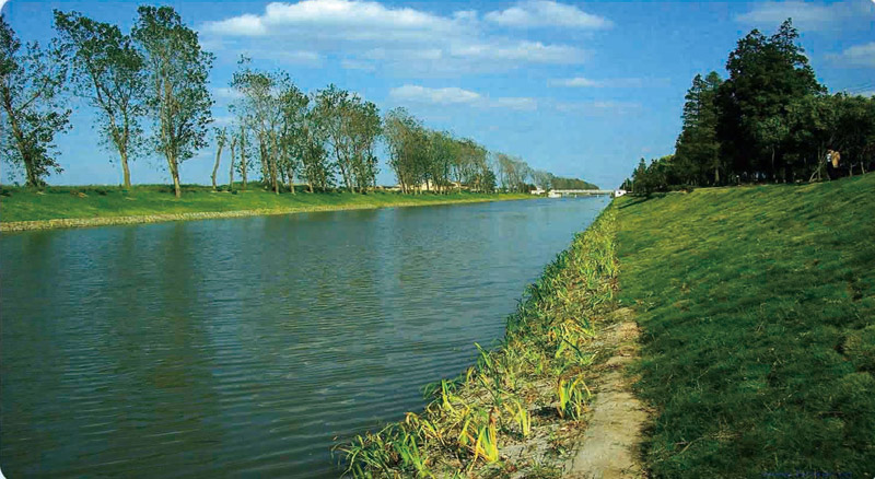 泰安市泰山区域山水林田湖草生态保护
