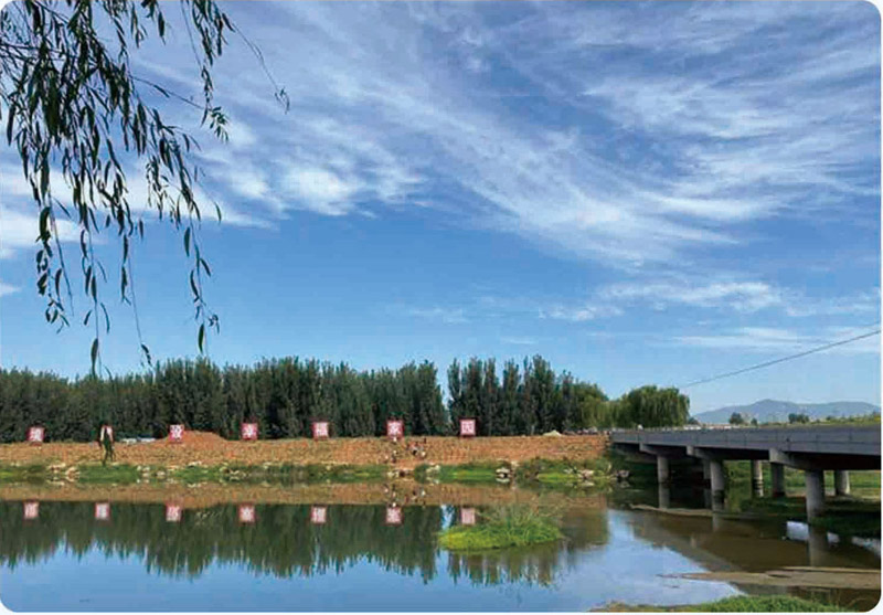 大汶河中游支流-天平湖岔河水环境综合治理